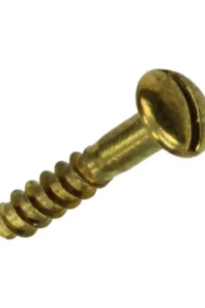 Beperkte Voorraad Mack Houtschroef Messing 12 stuks 3,0 x 16 mm